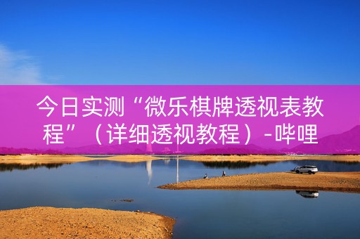 今日实测“微乐棋牌透视表教程”（详细透视教程）-哔哩哔哩
