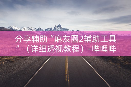 分享辅助“麻友圈2辅助工具”（详细透视教程）-哔哩哔哩