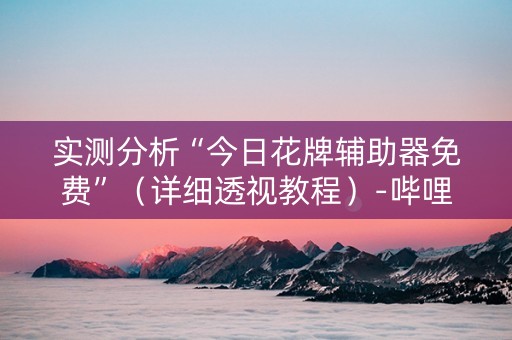 实测分析“今日花牌辅助器免费”（详细透视教程）-哔哩哔哩