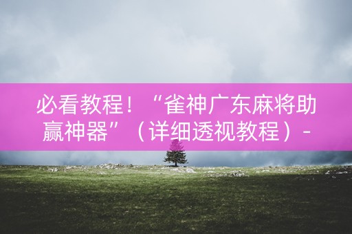 必看教程！“雀神广东麻将助赢神器”（详细透视教程）-哔哩哔哩