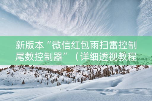 新版本“微信红包雨扫雷控制尾数控制器”（详细透视教程）-哔哩哔哩