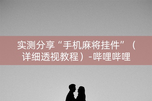 实测分享“手机麻将挂件”（详细透视教程）-哔哩哔哩