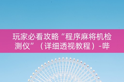 玩家必看攻略“程序麻将机检测仪”（详细透视教程）-哔哩哔哩