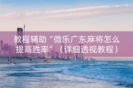 教程辅助“微乐广东麻将怎么提高胜率”（详细透视教程）-哔哩哔哩