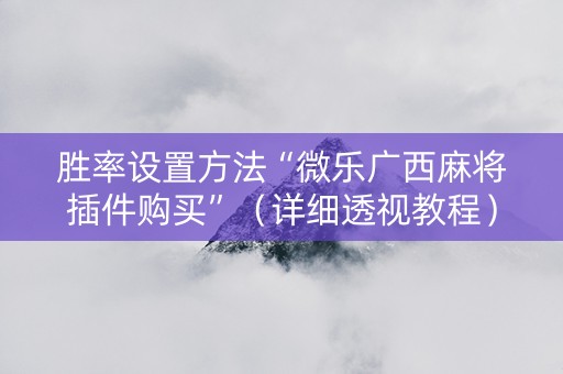 胜率设置方法“微乐广西麻将插件购买”（详细透视教程）-哔哩哔哩