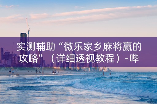 实测辅助“微乐家乡麻将赢的攻略”（详细透视教程）-哔哩哔哩