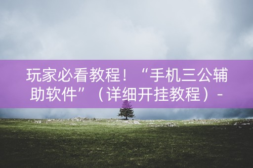 玩家必看教程！“手机三公辅助软件”（详细开挂教程）-哔哩哔哩