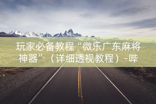 玩家必备教程“微乐广东麻将神器”（详细透视教程）-哔哩哔哩