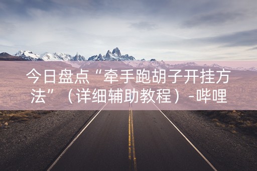 今日盘点“牵手跑胡子开挂方法”（详细辅助教程）-哔哩哔哩