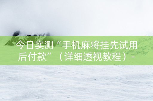 今日实测“手机麻将挂先试用后付款”（详细透视教程）-哔哩哔哩