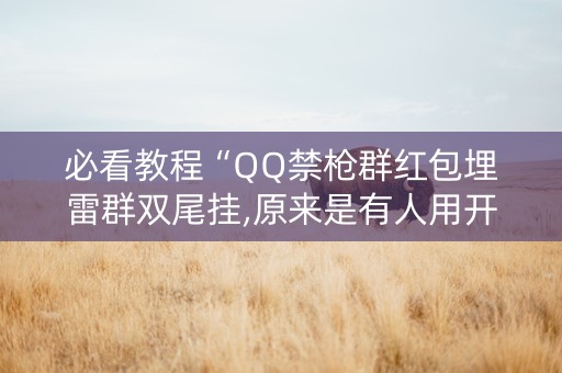 必看教程“QQ禁枪群红包埋雷群双尾挂,原来是有人用开挂”（详细透视教程）-哔哩哔哩