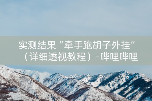 实测结果“牵手跑胡子外挂”（详细透视教程）-哔哩哔哩