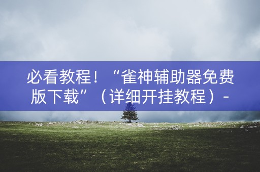 必看教程！“雀神辅助器免费版下载”（详细开挂教程）-哔哩哔哩