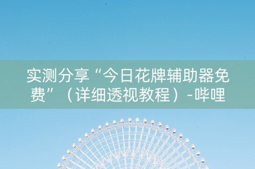实测分享“今日花牌辅助器免费”（详细透视教程）-哔哩哔哩