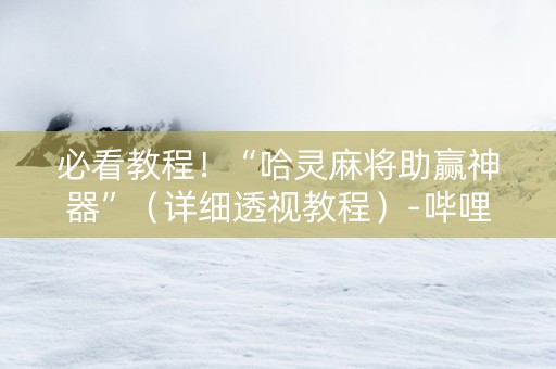 必看教程！“哈灵麻将助赢神器”（详细透视教程）-哔哩哔哩