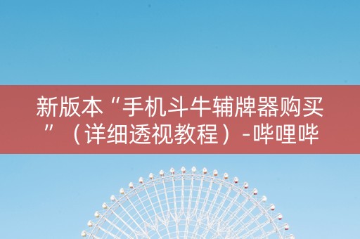 新版本“手机斗牛辅牌器购买”（详细透视教程）-哔哩哔哩