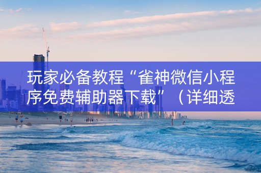 玩家必备教程“雀神微信小程序免费辅助器下载”（详细透视教程）-哔哩哔哩