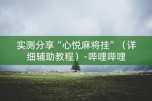 实测分享“心悦麻将挂”（详细辅助教程）-哔哩哔哩