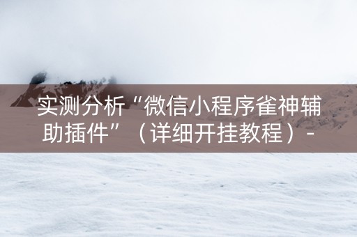 实测分析“微信小程序雀神辅助插件”（详细开挂教程）-哔哩哔哩