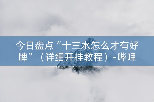 今日盘点“十三水怎么才有好牌”（详细开挂教程）-哔哩哔哩