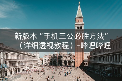 新版本“手机三公必胜方法”（详细透视教程）-哔哩哔哩