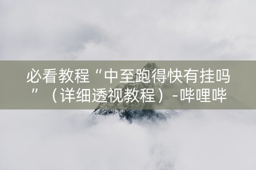 必看教程“中至跑得快有挂吗”（详细透视教程）-哔哩哔哩