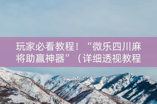 玩家必看教程！“微乐四川麻将助赢神器”（详细透视教程）-哔哩哔哩