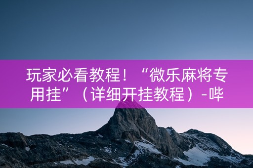 玩家必看教程！“微乐麻将专用挂”（详细开挂教程）-哔哩哔哩