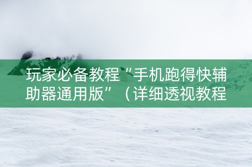 玩家必备教程“手机跑得快辅助器通用版”（详细透视教程）-哔哩哔哩