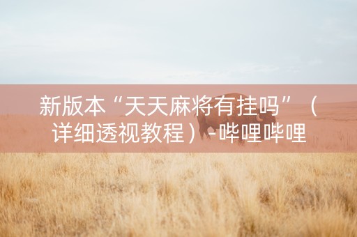新版本“天天麻将有挂吗”（详细透视教程）-哔哩哔哩