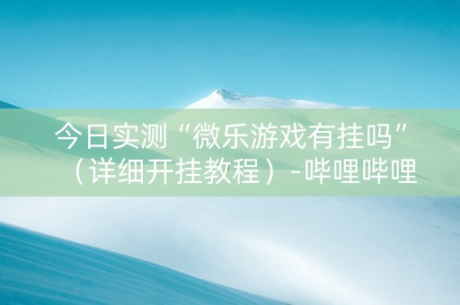 今日实测“微乐游戏有挂吗”（详细开挂教程）-哔哩哔哩