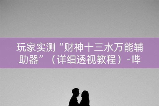 玩家实测“财神十三水万能辅助器”（详细透视教程）-哔哩哔哩