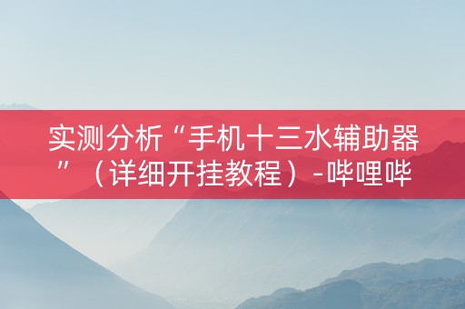 实测分析“手机十三水辅助器”（详细开挂教程）-哔哩哔哩