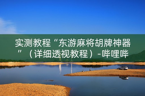 实测教程“东游麻将胡牌神器”（详细透视教程）-哔哩哔哩