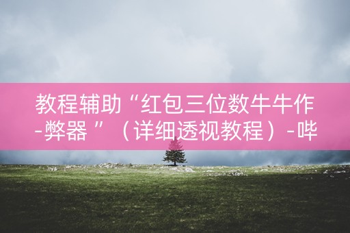 教程辅助“红包三位数牛牛作-弊器 ”（详细透视教程）-哔哩哔哩