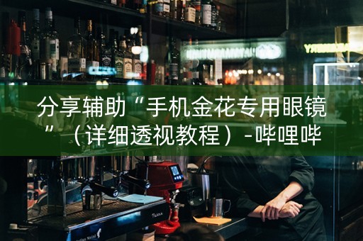 分享辅助“手机金花专用眼镜”（详细透视教程）-哔哩哔哩