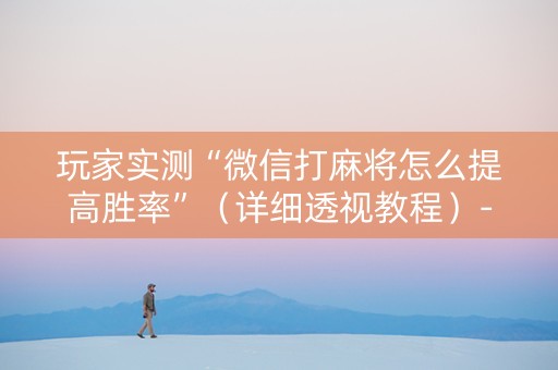 玩家实测“微信打麻将怎么提高胜率”（详细透视教程）-哔哩哔哩