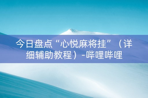 今日盘点“心悦麻将挂”（详细辅助教程）-哔哩哔哩