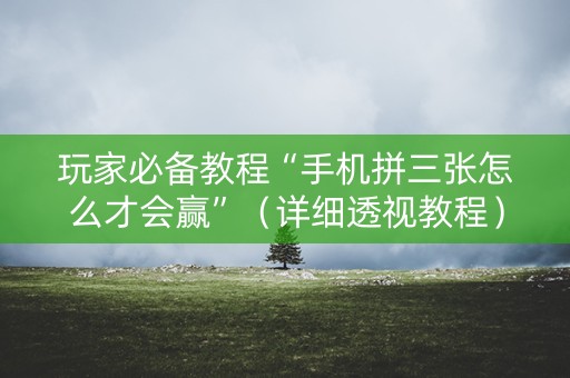 玩家必备教程“手机拼三张怎么才会赢”（详细透视教程）-哔哩哔哩