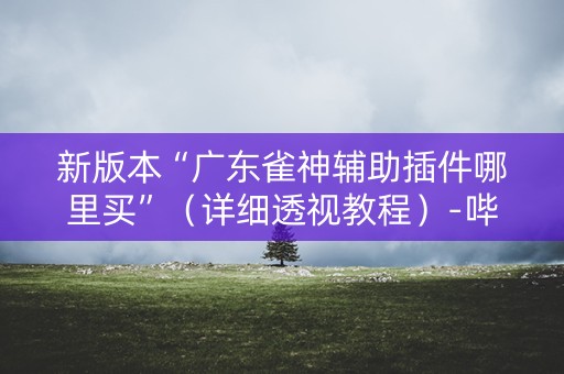 新版本“广东雀神辅助插件哪里买”（详细透视教程）-哔哩哔哩