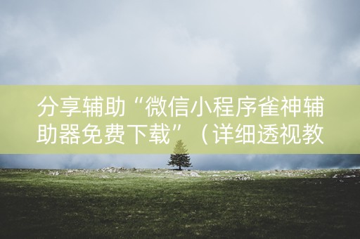 分享辅助“微信小程序雀神辅助器免费下载”（详细透视教程）-哔哩哔哩