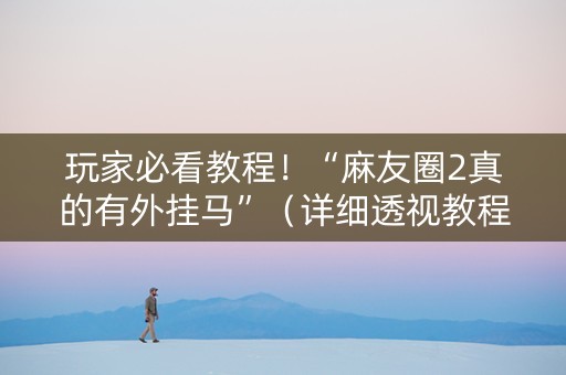 玩家必看教程！“麻友圈2真的有外挂马”（详细透视教程）-哔哩哔哩