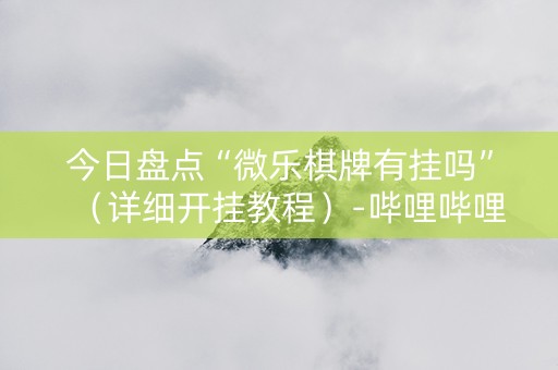 今日盘点“微乐棋牌有挂吗”（详细开挂教程）-哔哩哔哩