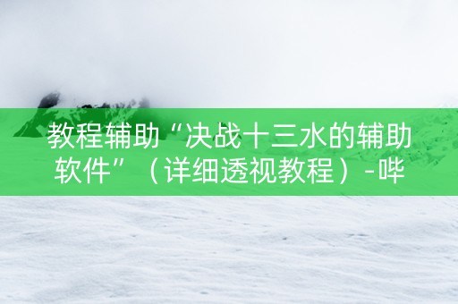 教程辅助“决战十三水的辅助软件”（详细透视教程）-哔哩哔哩