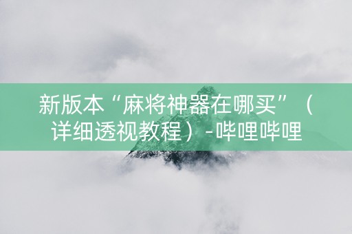 新版本“麻将神器在哪买”（详细透视教程）-哔哩哔哩