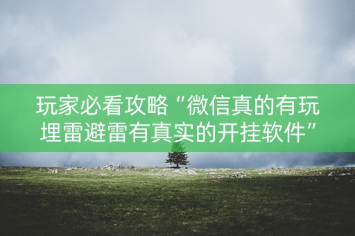 玩家必看攻略“微信真的有玩埋雷避雷有真实的开挂软件”（详细透视教程）-哔哩哔哩