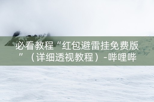 必看教程“红包避雷挂免费版”（详细透视教程）-哔哩哔哩