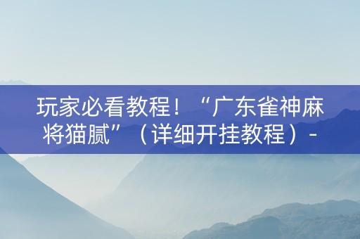 玩家必看教程！“广东雀神麻将猫腻”（详细开挂教程）-哔哩哔哩