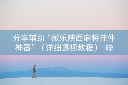 分享辅助“微乐陕西麻将挂件神器”（详细透视教程）-哔哩哔哩