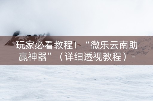 玩家必看教程！“微乐云南助赢神器”（详细透视教程）-哔哩哔哩